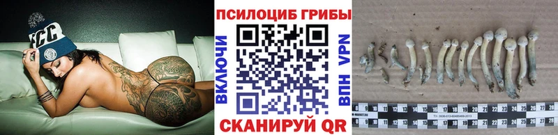 Галлюциногенные грибы прущие грибы Купить где Заинск